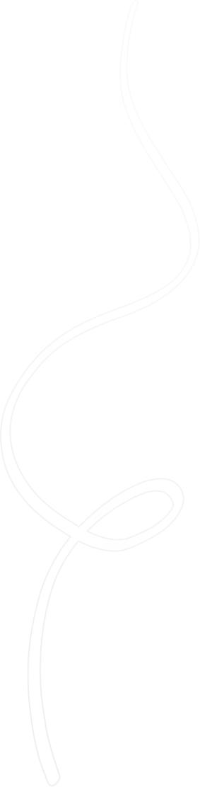 vector