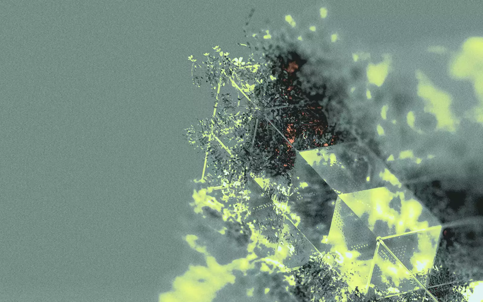 Smart Cuboid – Eco friendly food containers