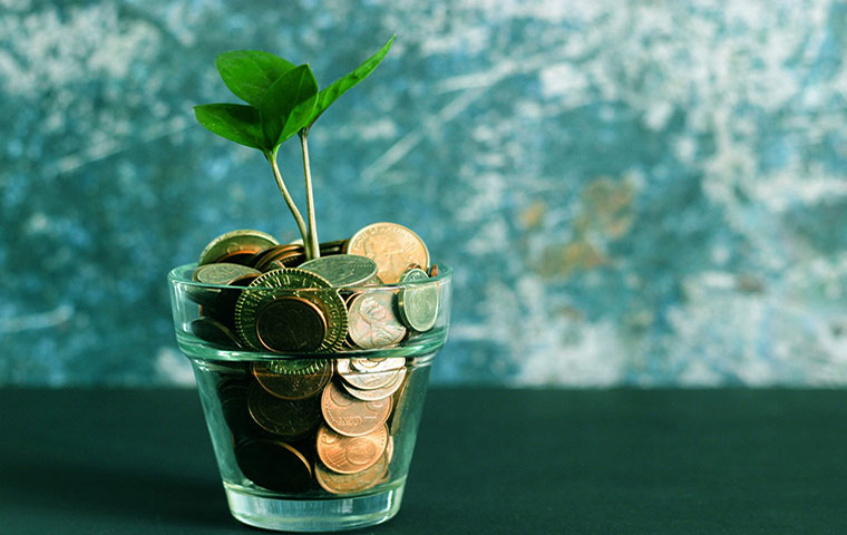 finance platforms