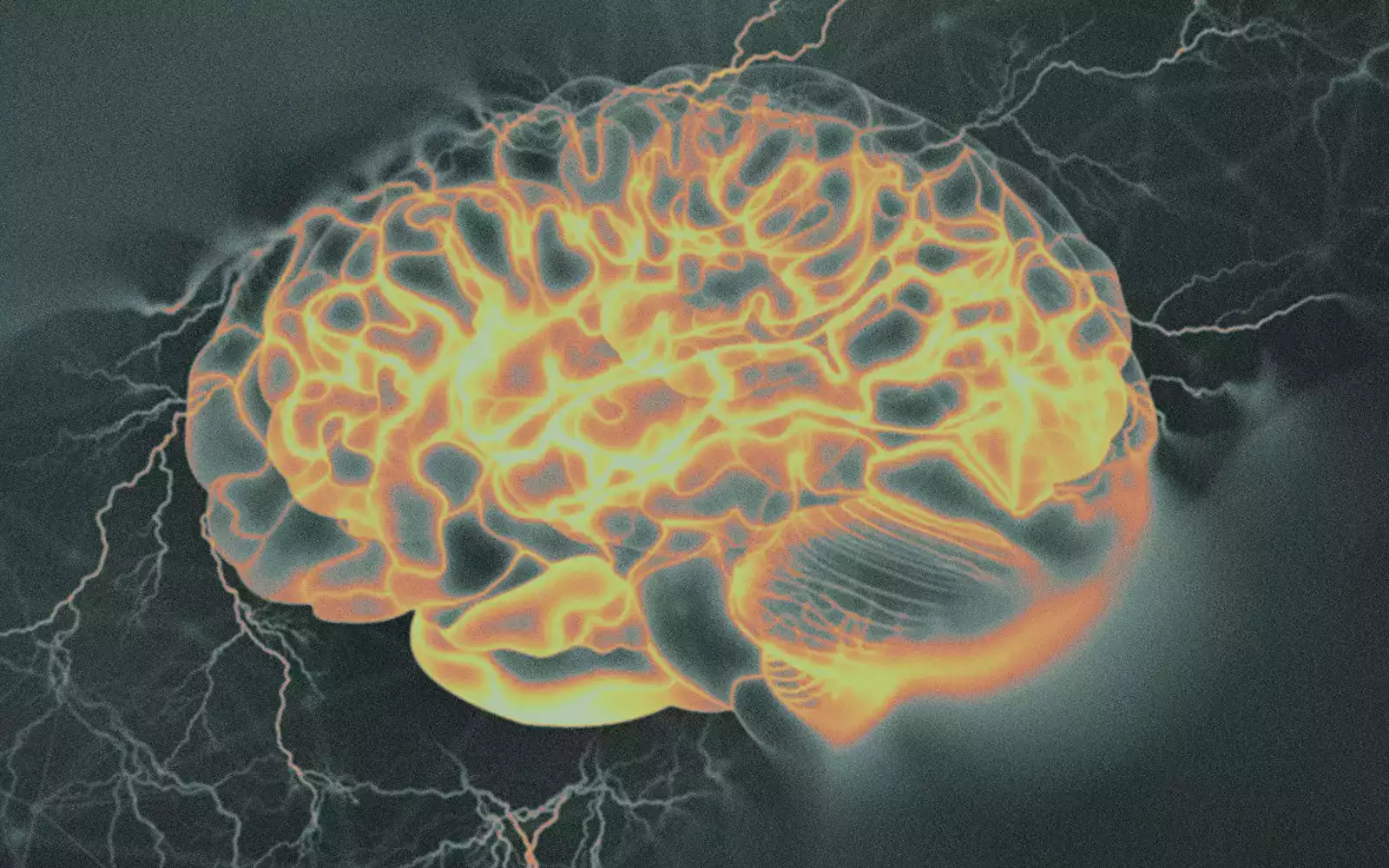 3B - A Scientific Brand, Reimagined for People First